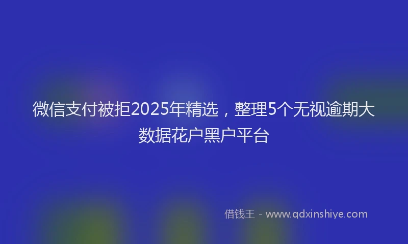 微信支付被拒2025年精选，整理5个无视逾期大数据花户黑户平台