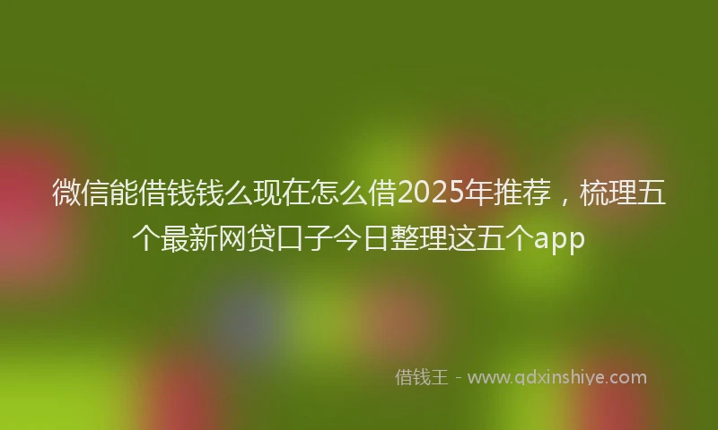微信能借钱钱么现在怎么借2025年推荐，梳理五个最新网贷口子今日整理这五个app