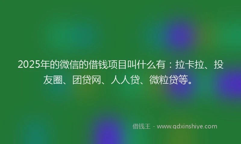 2025年的微信的借钱项目叫什么有：拉卡拉、投友圈、团贷网、人人贷、微粒贷等。