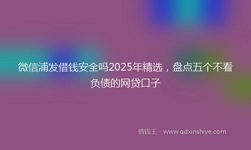 微信浦发借钱安全吗2025年精选，盘点五个不看负债的网贷口子