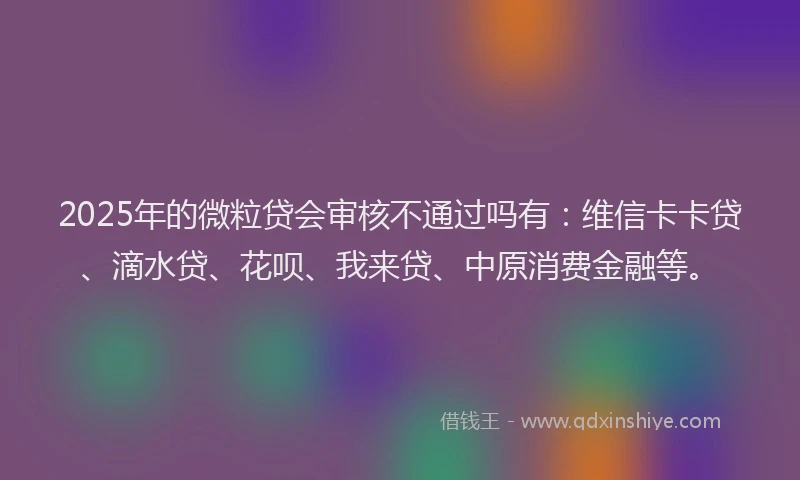 2025年的微粒贷会审核不通过吗有：维信卡卡贷、滴水贷、花呗、我来贷、中原消费金融等。