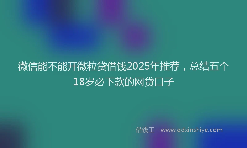 微信能不能开微粒贷借钱2025年推荐，总结五个18岁必下款的网贷口子
