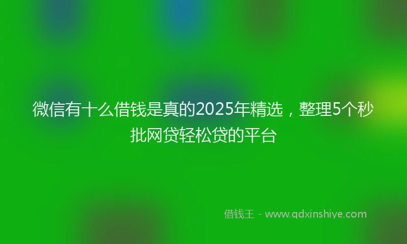 微信有十么借钱是真的2025年精选，整理5个秒批网贷轻松贷的平台