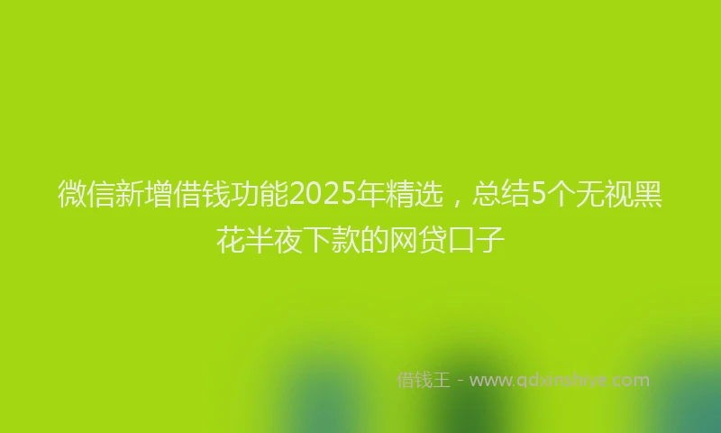 微信新增借钱功能2025年精选，总结5个无视黑花半夜下款的网贷口子