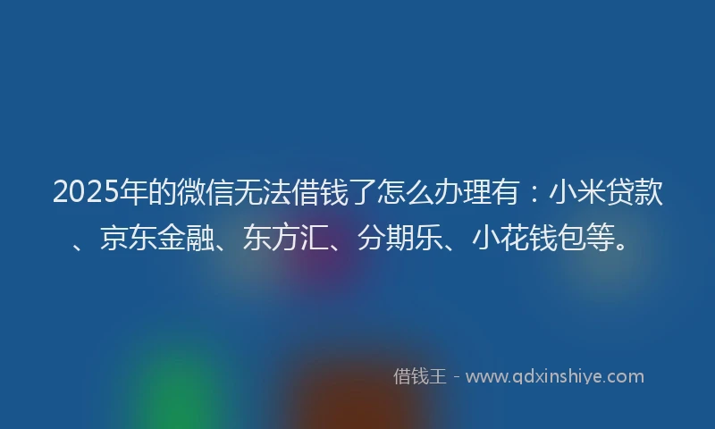 2025年的微信无法借钱了怎么办理有：小米贷款、京东金融、东方汇、分期乐、小花钱包等。