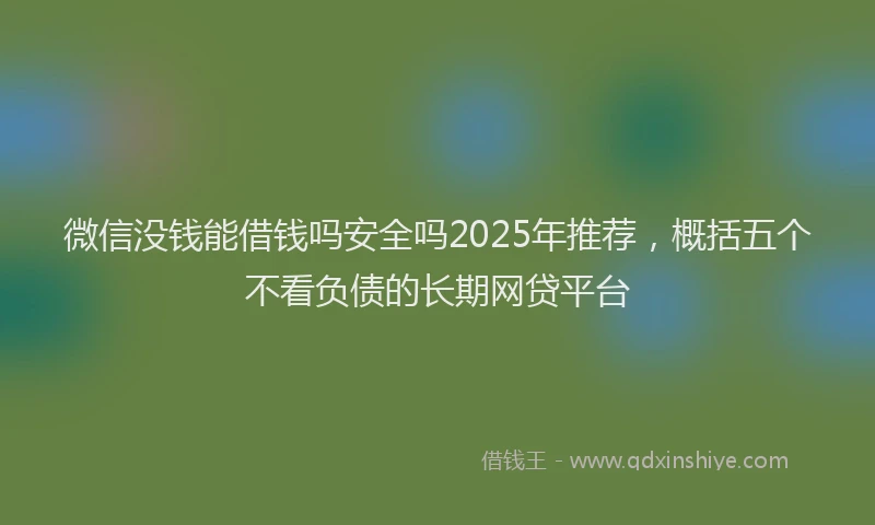 微信没钱能借钱吗安全吗2025年推荐，概括五个不看负债的长期网贷平台