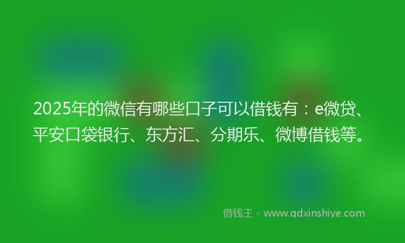 2025年的微信有哪些口子可以借钱有：e微贷、平安口袋银行、东方汇、分期乐、微博借钱等。