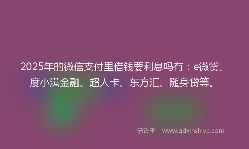 2025年的微信支付里借钱要利息吗有：e微贷、度小满金融、超人卡、东方汇、随身贷等。