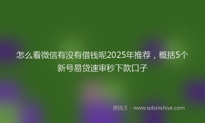 怎么看微信有没有借钱呢2025年推荐，概括5个新号易贷速审秒下款口子