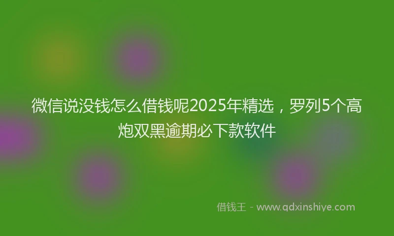 微信说没钱怎么借钱呢2025年精选，罗列5个高炮双黑逾期必下款软件