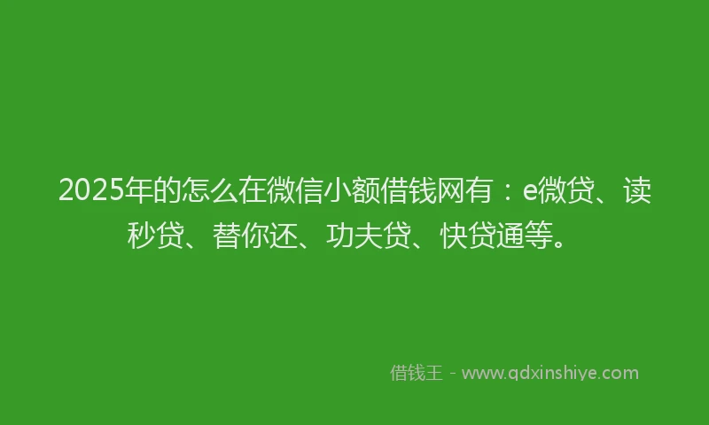 2025年的怎么在微信小额借钱网有：e微贷、读秒贷、替你还、功夫贷、快贷通等。