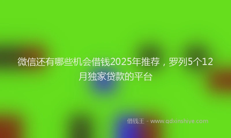 微信还有哪些机会借钱2025年推荐，罗列5个12月独家贷款的平台