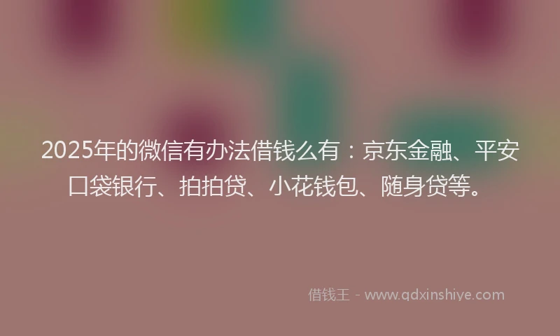 2025年的微信有办法借钱么有：京东金融、平安口袋银行、拍拍贷、小花钱包、随身贷等。