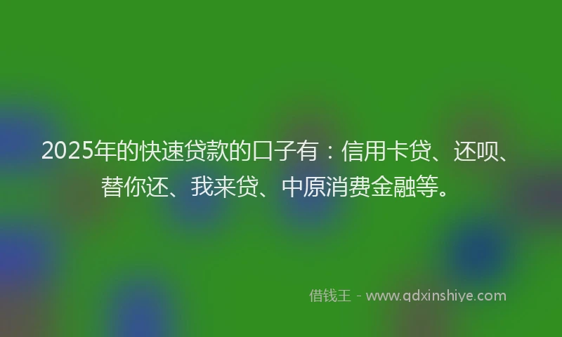 2025年的快速贷款的口子有：信用卡贷、还呗、替你还、我来贷、中原消费金融等。