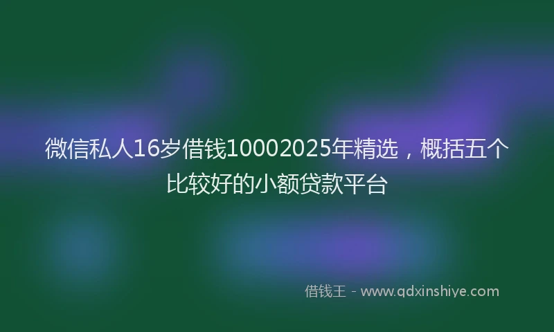微信私人16岁借钱10002025年精选，概括五个比较好的小额贷款平台