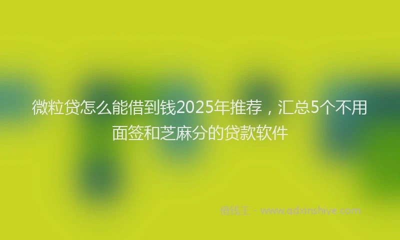 微粒贷怎么能借到钱2025年推荐，汇总5个不用面签和芝麻分的贷款软件