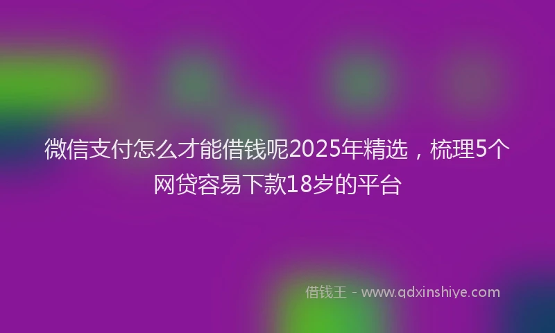 微信支付怎么才能借钱呢2025年精选，梳理5个网贷容易下款18岁的平台