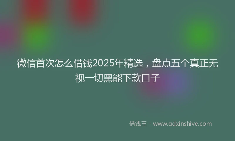 微信首次怎么借钱2025年精选，盘点五个真正无视一切黑能下款口子