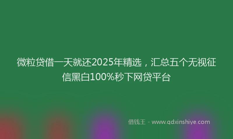 微粒贷借一天就还2025年精选，汇总五个无视征信黑白100%秒下网贷平台