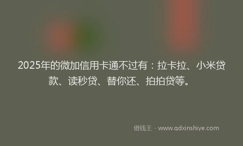 2025年的微加信用卡通不过有：拉卡拉、小米贷款、读秒贷、替你还、拍拍贷等。