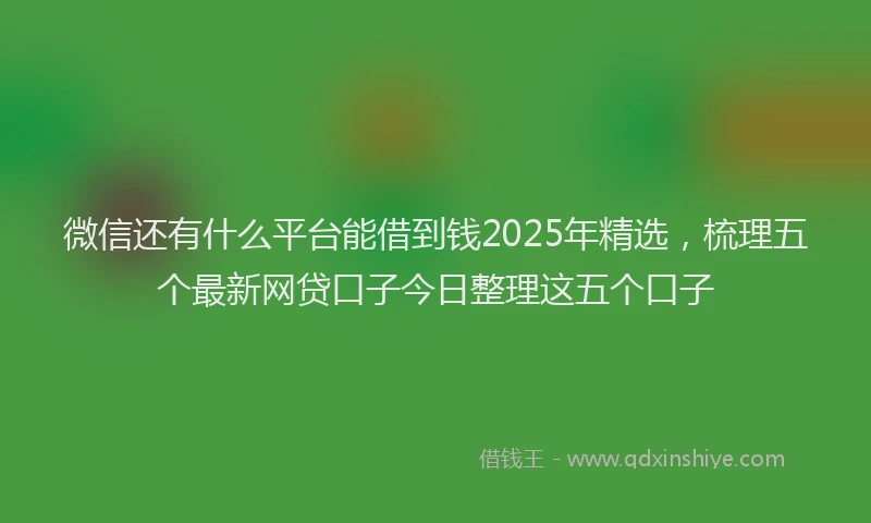 微信还有什么平台能借到钱2025年精选，梳理五个最新网贷口子今日整理这五个口子
