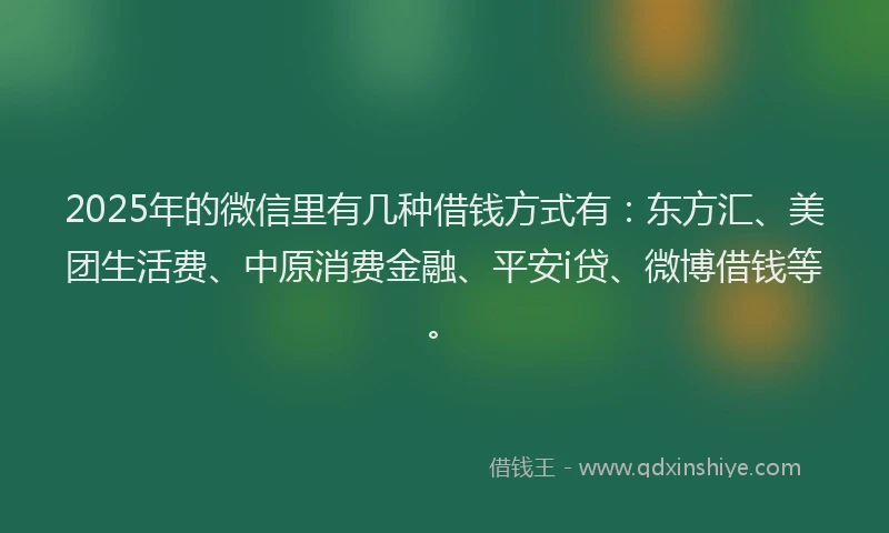 2025年的微信里有几种借钱方式有：东方汇、美团生活费、中原消费金融、平安i贷、微博借钱等。