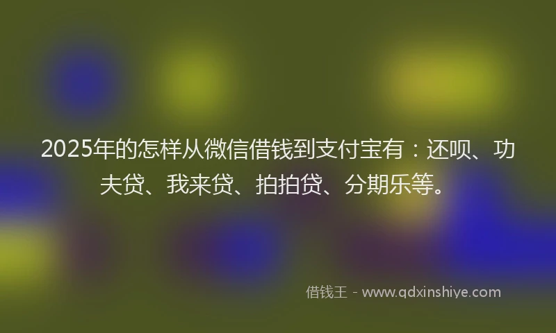 2025年的怎样从微信借钱到支付宝有：还呗、功夫贷、我来贷、拍拍贷、分期乐等。