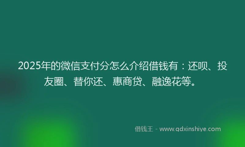 2025年的微信支付分怎么介绍借钱有：还呗、投友圈、替你还、惠商贷、融逸花等。