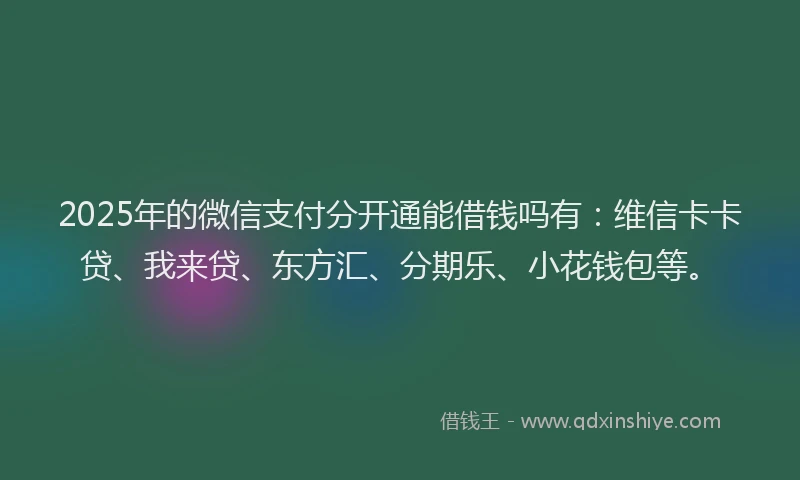 2025年的微信支付分开通能借钱吗有：维信卡卡贷、我来贷、东方汇、分期乐、小花钱包等。