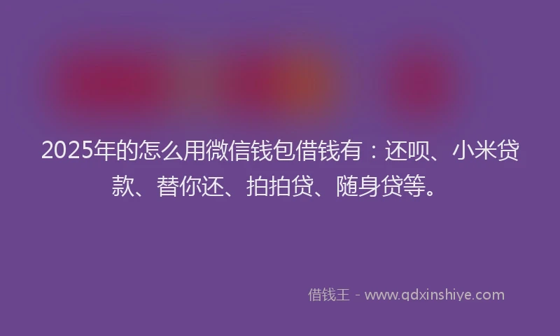 2025年的怎么用微信钱包借钱有：还呗、小米贷款、替你还、拍拍贷、随身贷等。
