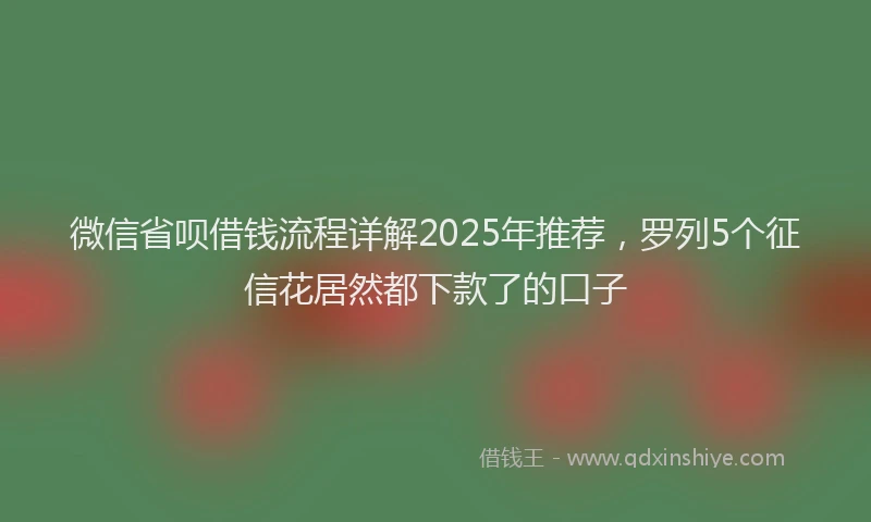 微信省呗借钱流程详解2025年推荐，罗列5个征信花居然都下款了的口子
