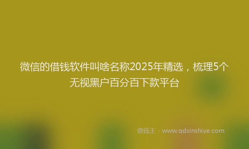 微信的借钱软件叫啥名称2025年精选，梳理5个无视黑户百分百下款平台