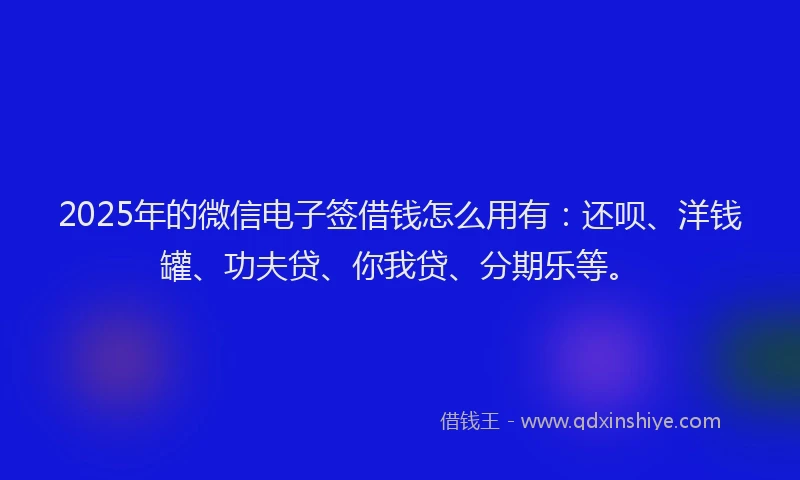 2025年的微信电子签借钱怎么用有：还呗、洋钱罐、功夫贷、你我贷、分期乐等。