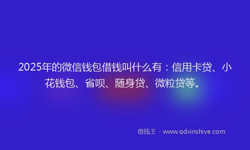 2025年的微信钱包借钱叫什么有：信用卡贷、小花钱包、省呗、随身贷、微粒贷等。