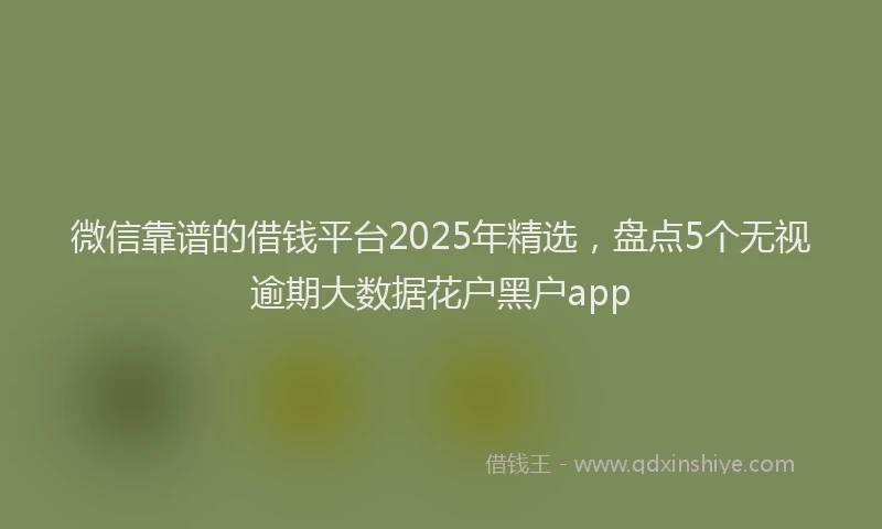微信靠谱的借钱平台2025年精选，盘点5个无视逾期大数据花户黑户app
