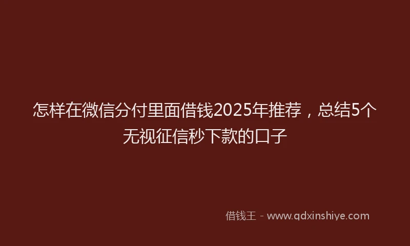 怎样在微信分付里面借钱2025年推荐，总结5个无视征信秒下款的口子