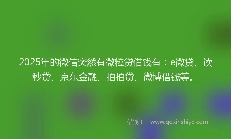 2025年的微信突然有微粒贷借钱有：e微贷、读秒贷、京东金融、拍拍贷、微博借钱等。