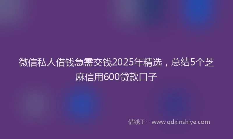 微信私人借钱急需交钱2025年精选，总结5个芝麻信用600贷款口子