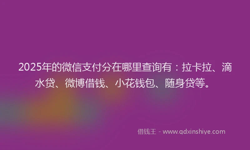 2025年的微信支付分在哪里查询有：拉卡拉、滴水贷、微博借钱、小花钱包、随身贷等。