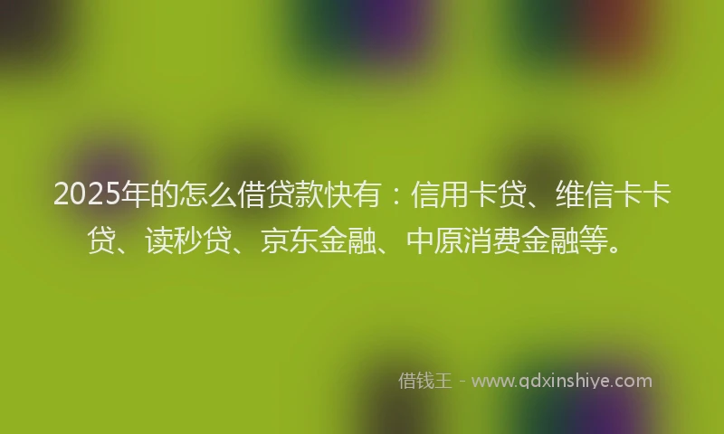2025年的怎么借贷款快有：信用卡贷、维信卡卡贷、读秒贷、京东金融、中原消费金融等。