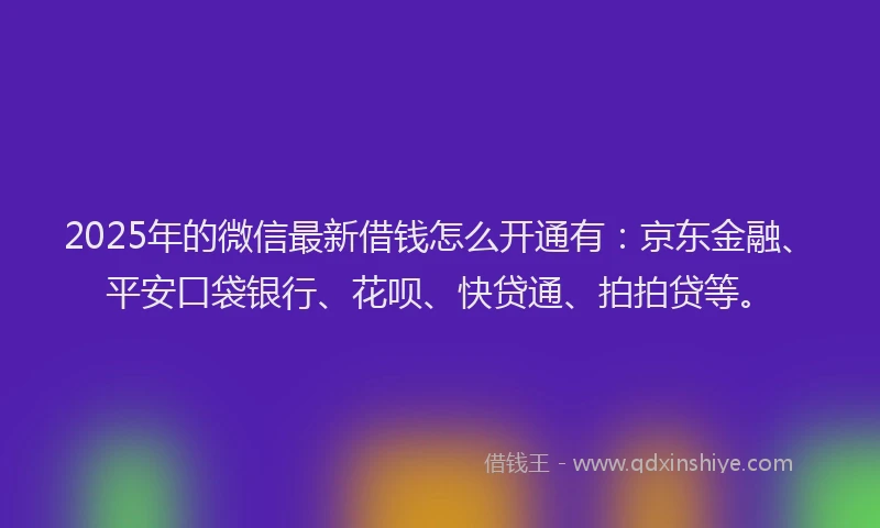 2025年的微信最新借钱怎么开通有：京东金融、平安口袋银行、花呗、快贷通、拍拍贷等。