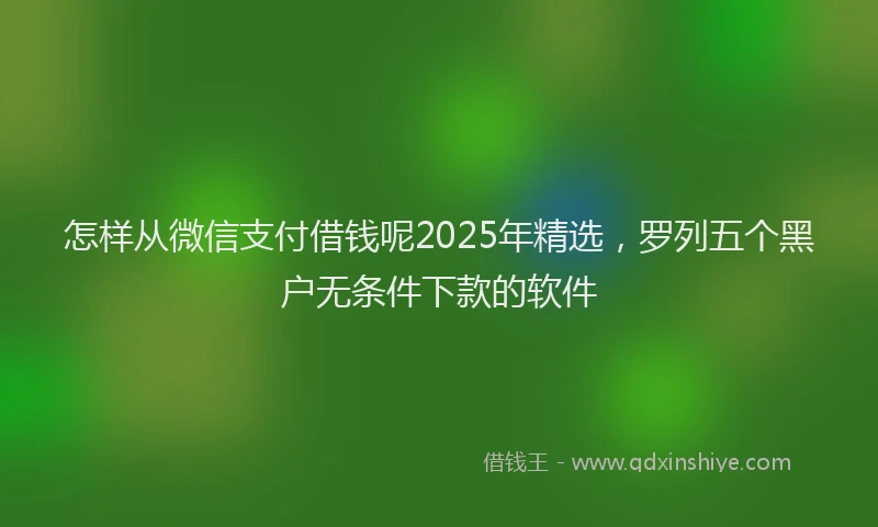 怎样从微信支付借钱呢2025年精选，罗列五个黑户无条件下款的软件