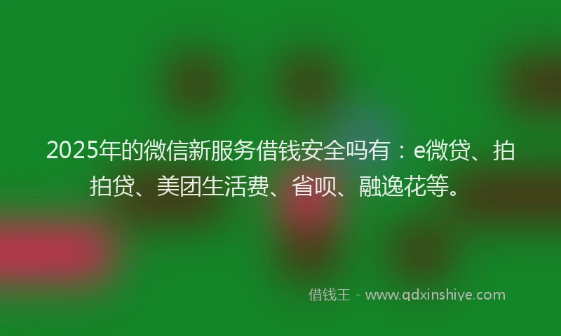 2025年的微信新服务借钱安全吗有：e微贷、拍拍贷、美团生活费、省呗、融逸花等。