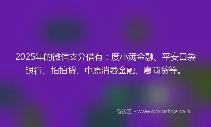 2025年的微信支分借有：度小满金融、平安口袋银行、拍拍贷、中原消费金融、惠商贷等。