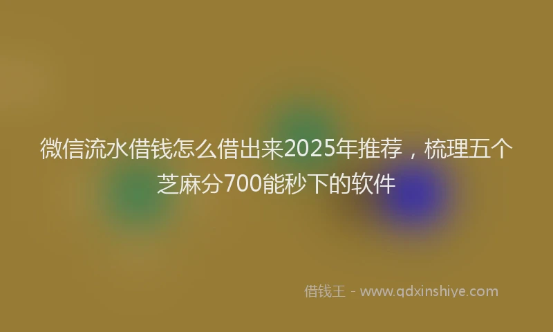 微信流水借钱怎么借出来2025年推荐，梳理五个芝麻分700能秒下的软件