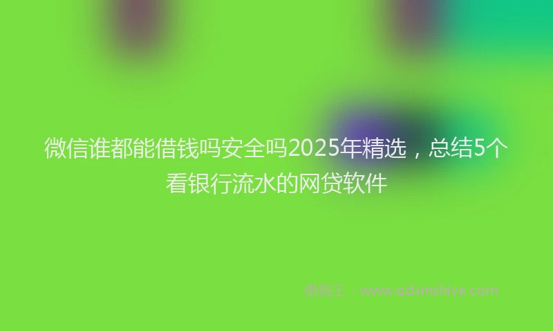 微信谁都能借钱吗安全吗2025年精选，总结5个看银行流水的网贷软件