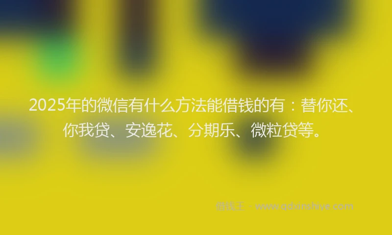 2025年的微信有什么方法能借钱的有：替你还、你我贷、安逸花、分期乐、微粒贷等。