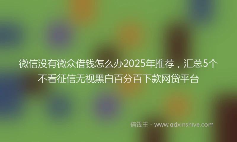 微信没有微众借钱怎么办2025年推荐，汇总5个不看征信无视黑白百分百下款网贷平台