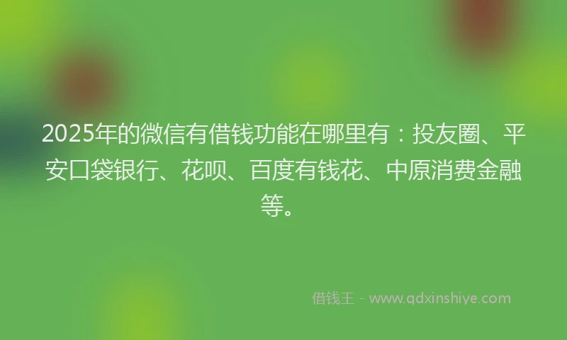 2025年的微信有借钱功能在哪里有：投友圈、平安口袋银行、花呗、百度有钱花、中原消费金融等。