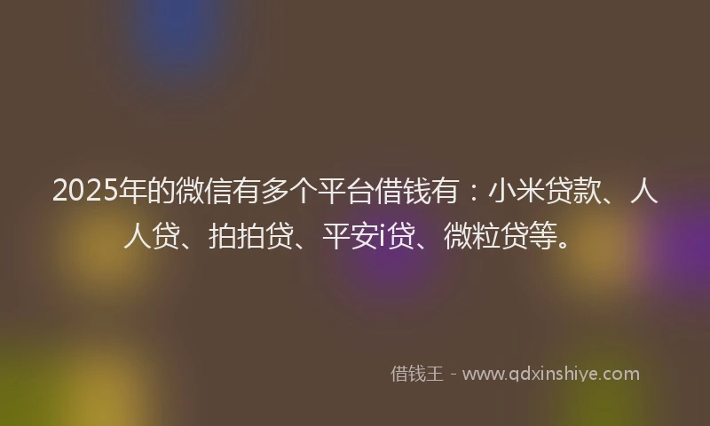 2025年的微信有多个平台借钱有：小米贷款、人人贷、拍拍贷、平安i贷、微粒贷等。